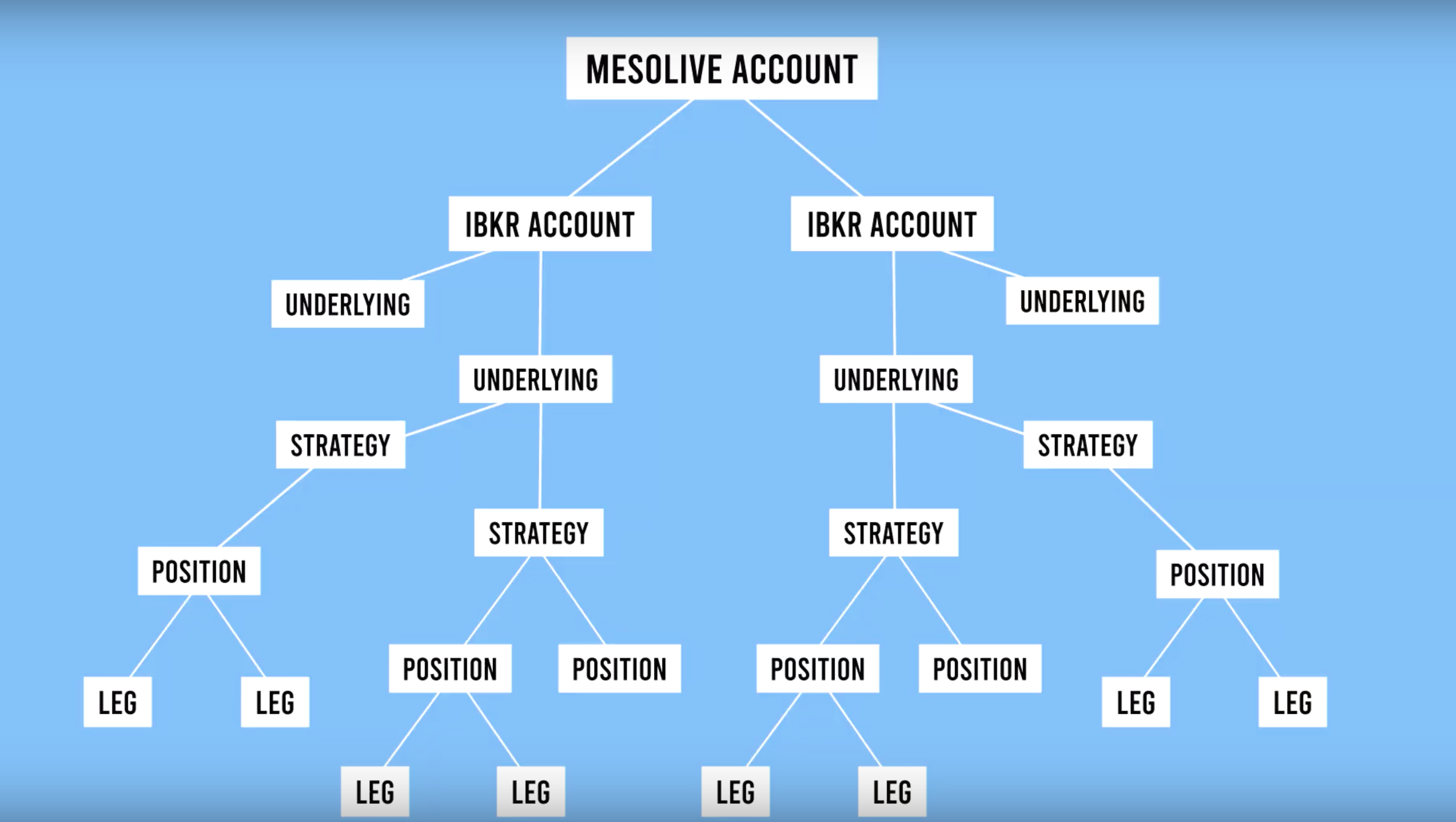 MesoLive Object Hierarchy